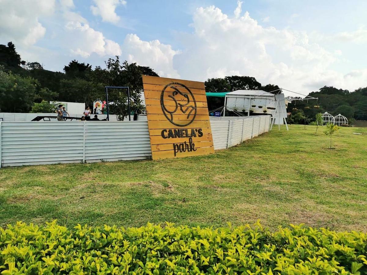 Airport Traveler'S Home Alajuela Kültér fotó