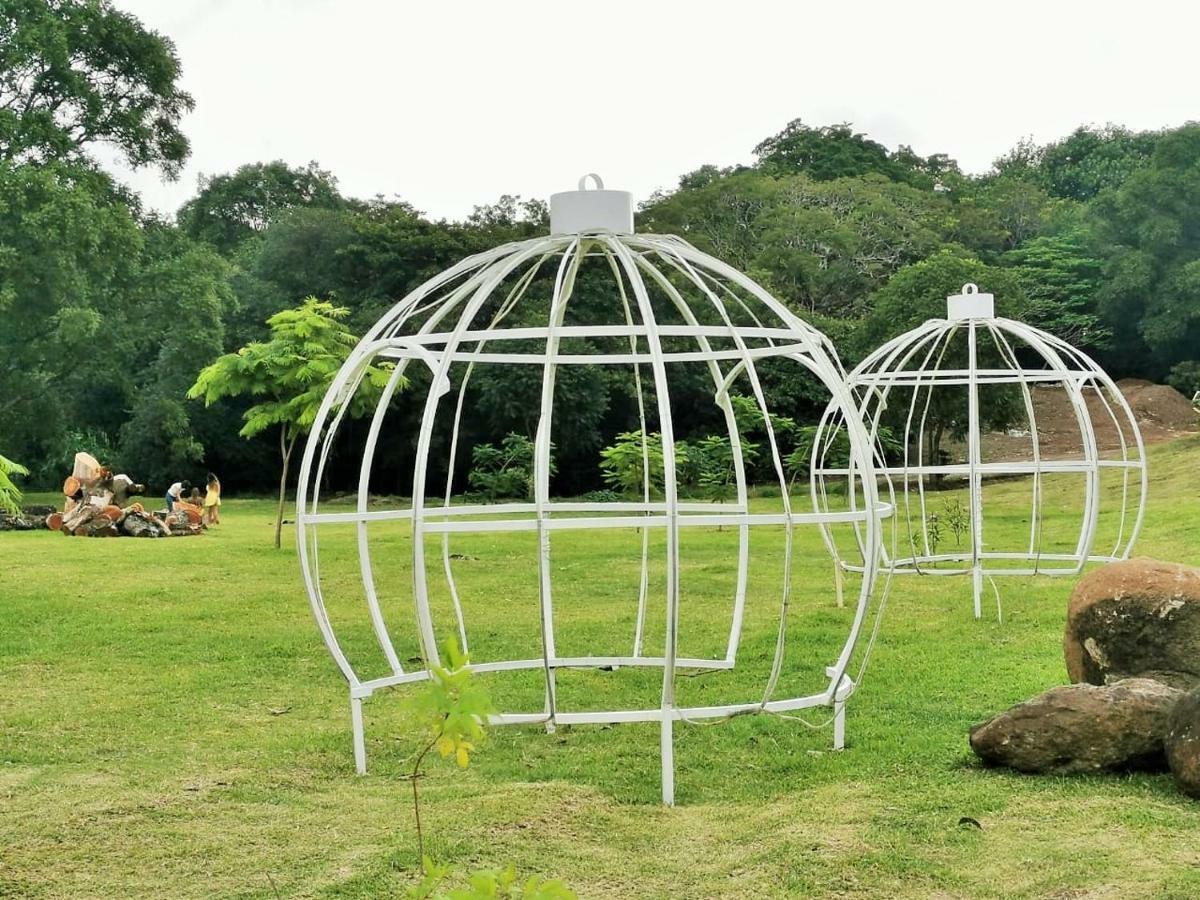 Airport Traveler'S Home Alajuela Kültér fotó