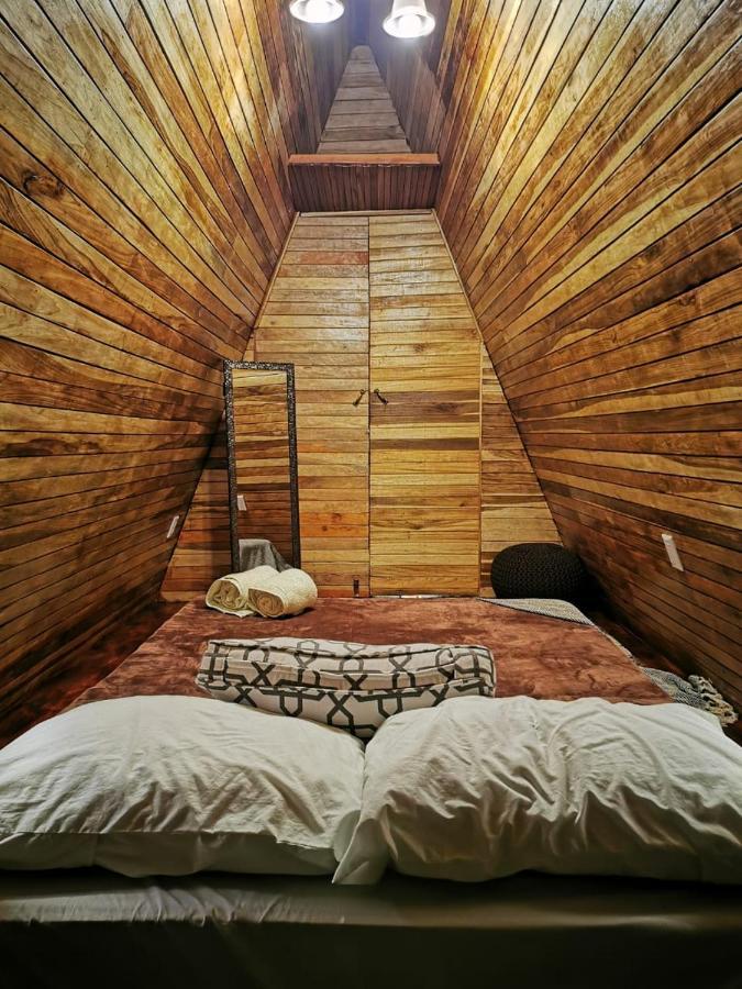 Airport Traveler'S Home Alajuela Kültér fotó